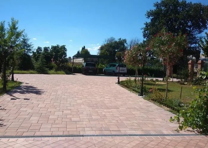 Morrovalle Love Daire *